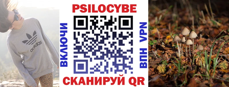 Купить где  Андреаполь  Псилоцибиновые грибы прущие грибы 